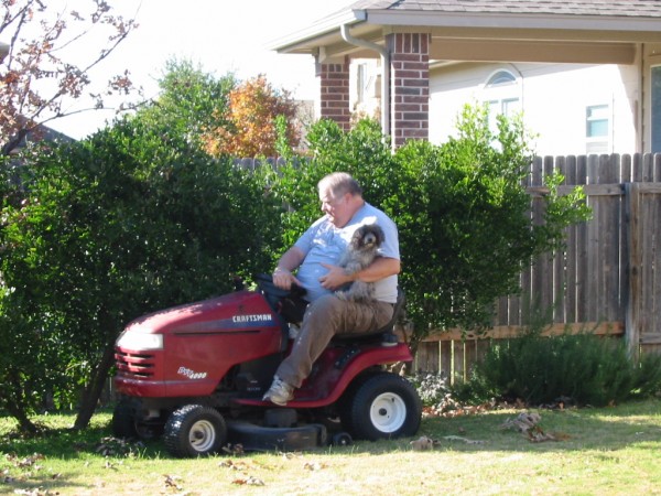 bella riding lawn mower.JPG
